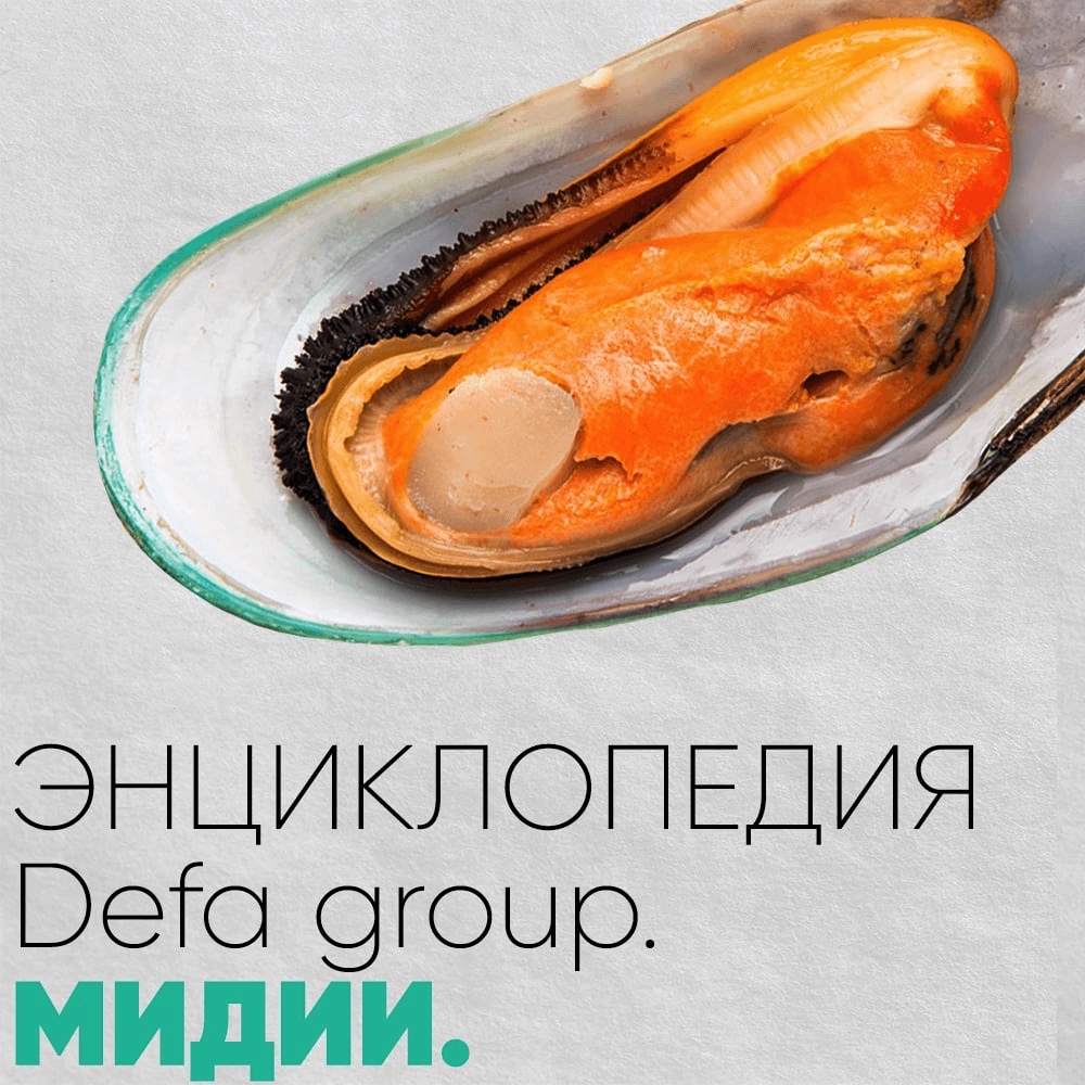 Рыбная энциклопедия Мидии Defa group - рыба и морепродукты оптом