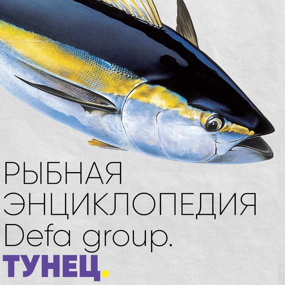 Рыбная энциклопедия Тунец Defa group