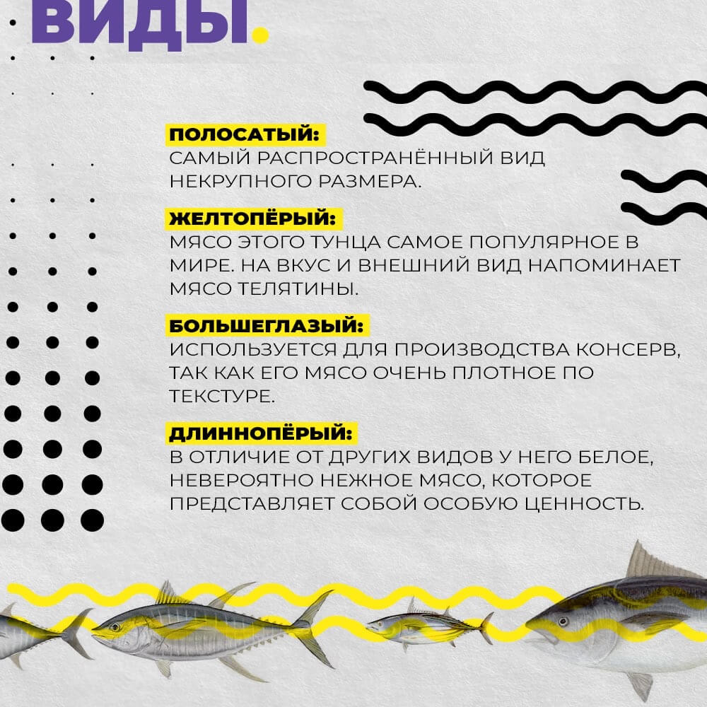Рыбная энциклопедия Тунец Defa group - рыба и морепродукты оптом