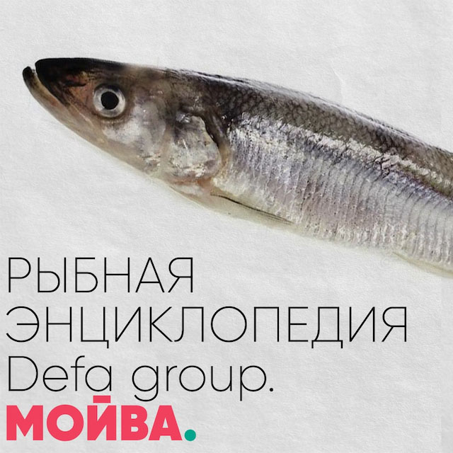 Рыбная энциклопедия Мойва Defa group
