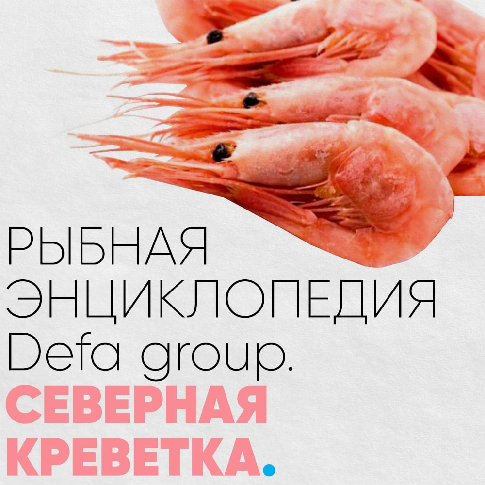 Рыбная энциклопедия: северная креветка Defa group