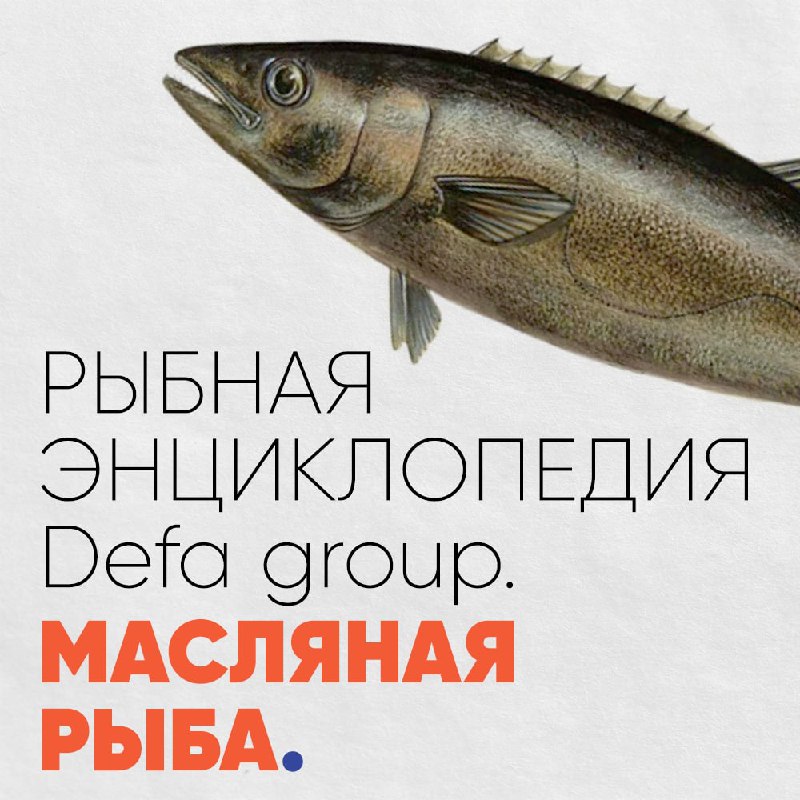 Рыбная энциклопедия: Масляная рыба Defa group