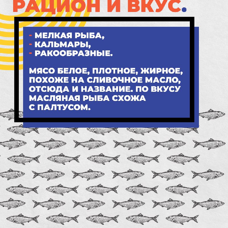 Рыбная энциклопедия: Масляная рыба Defa group - рыба и морепродукты оптом