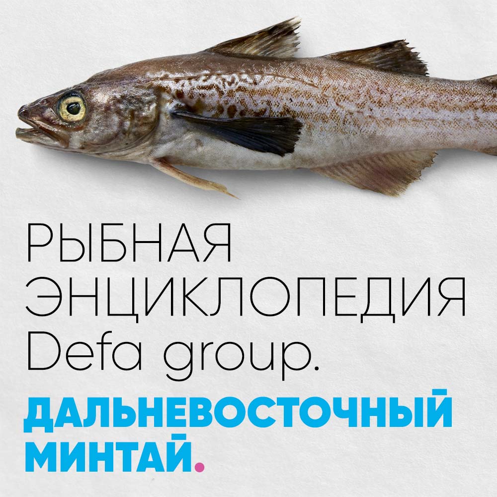 Рыбная энциклопедия: Дальневосточный минтай Defa group