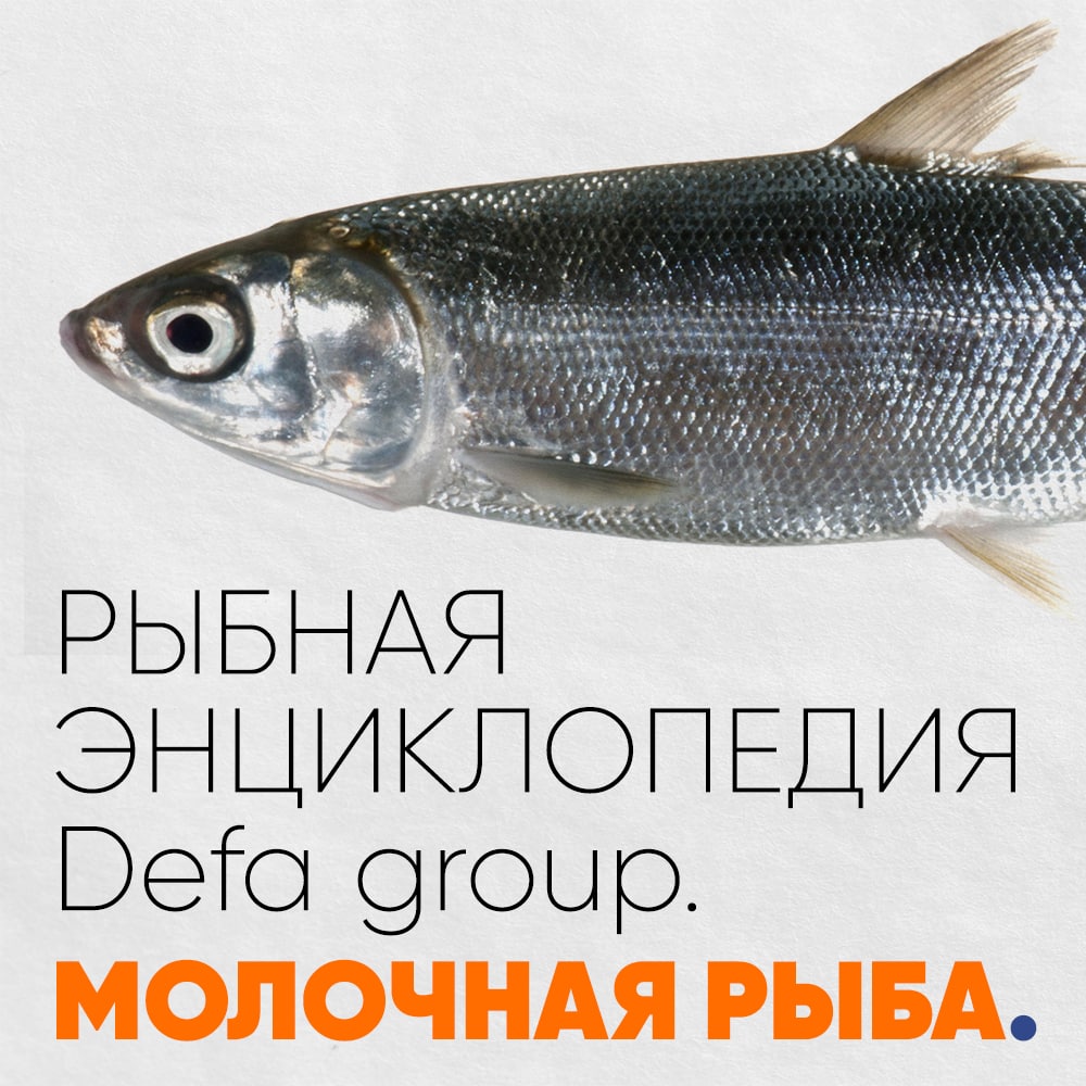 Рыбная энциклопедия: Молочная рыба Defa group