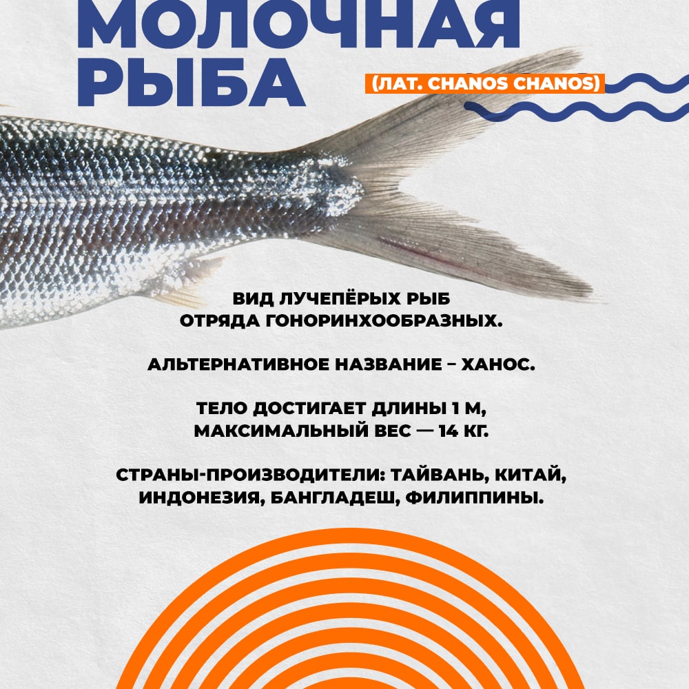 Рыбная энциклопедия: Молочная рыба Defa group